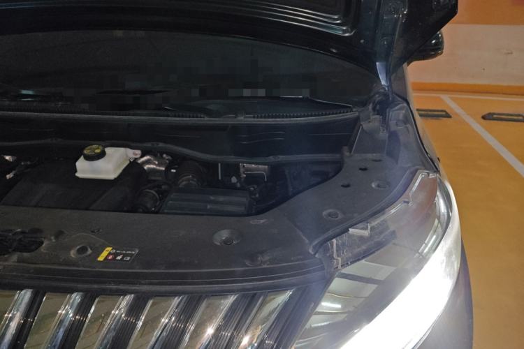 Used Wey Gaoshan 2023 Four-Wheel-Drive Executive Extended Version Engine Bay Left