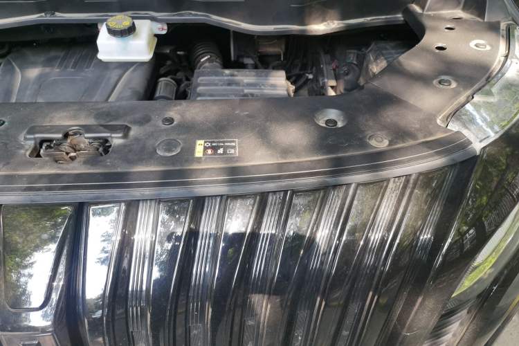 Used Wey Gaoshan 2023 Four-Wheel-Drive Executive Extended Version Engine Bay Left