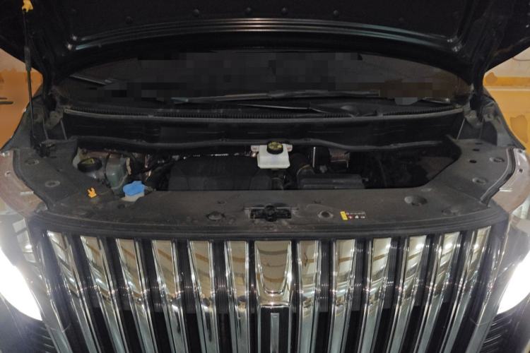 Used Wey Gaoshan 2023 Four-Wheel-Drive Executive Extended Version Engine Bay