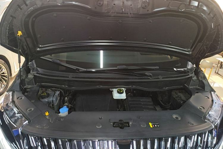 Used Wey Gaoshan 2023 Four-Wheel-Drive Executive Extended Version Engine Bay