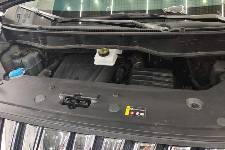 Used Wey Gaoshan 2023 Four-Wheel-Drive Executive Extended Version Engine Bay