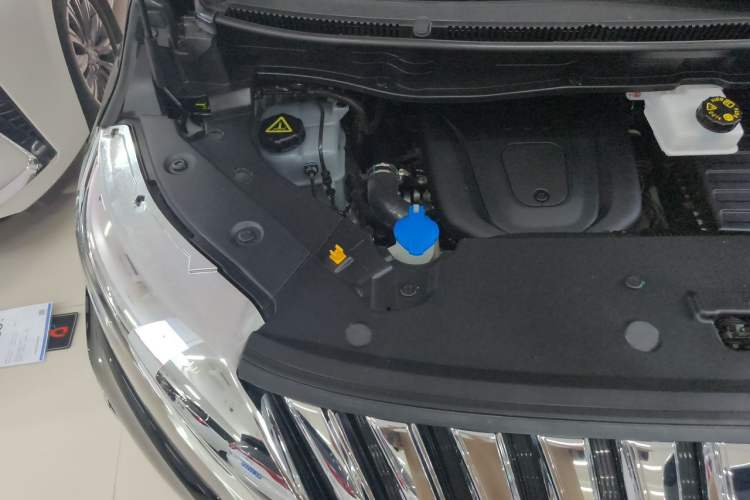 Used Wey Gaoshan 2023 Four-Wheel-Drive Executive Extended Version Engine Bay Right