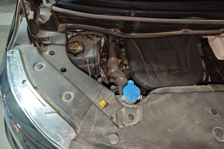 Used Wey Gaoshan 2023 Four-Wheel-Drive Executive Extended Version Engine Bay Right