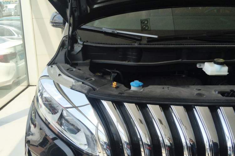 Used Wey Gaoshan 2023 Four-Wheel-Drive Executive Extended Version Engine Bay Right