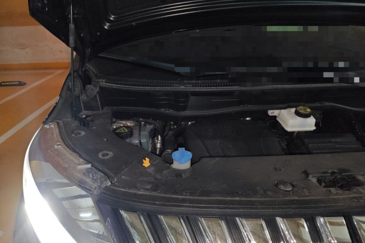 Used Wey Gaoshan 2023 Four-Wheel-Drive Executive Extended Version Engine Bay Right