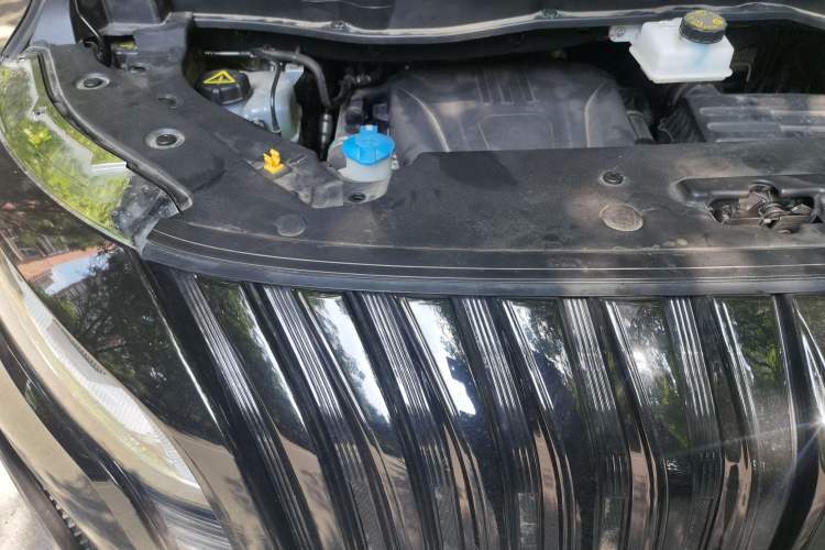 Used Wey Gaoshan 2023 Four-Wheel-Drive Executive Extended Version Engine Bay Right