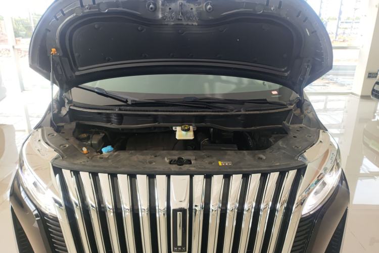 Used Wey Gaoshan 2023 Four-Wheel-Drive Executive Extended Version Engine Bay