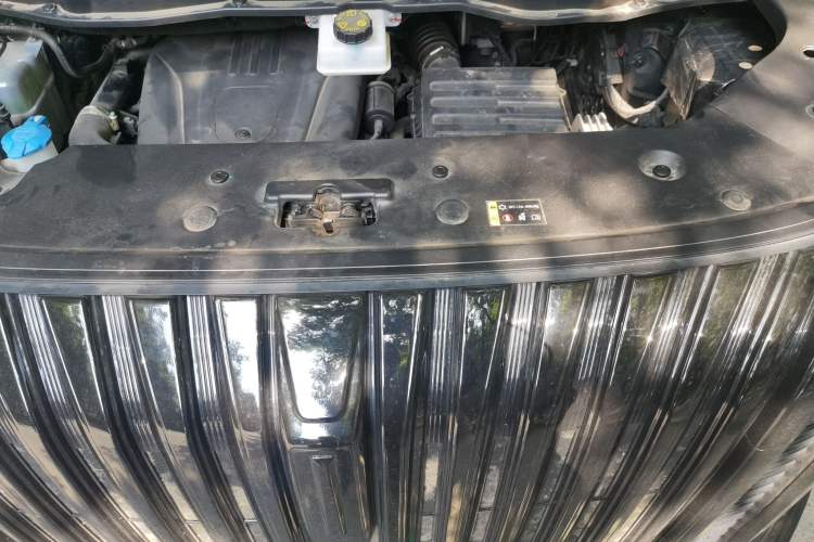 Used Wey Gaoshan 2023 Four-Wheel-Drive Executive Extended Version Engine Bay