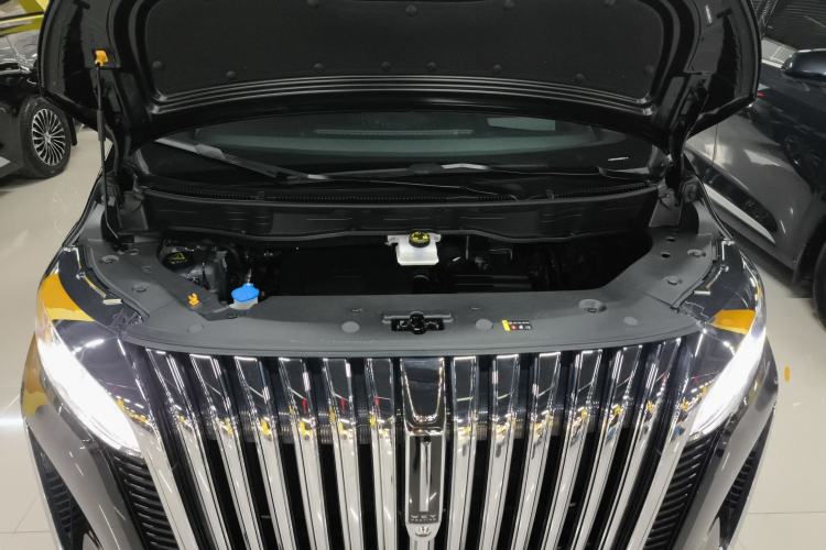 Used Wey Gaoshan 2023 Four-Wheel-Drive Executive Extended Version Engine Bay