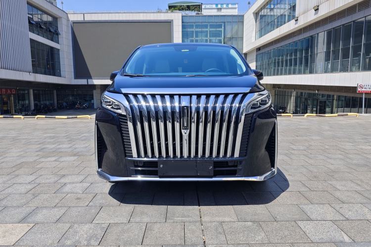 Used Wey Gaoshan 2023 Four-Wheel-Drive Executive Extended Version Exterior 1