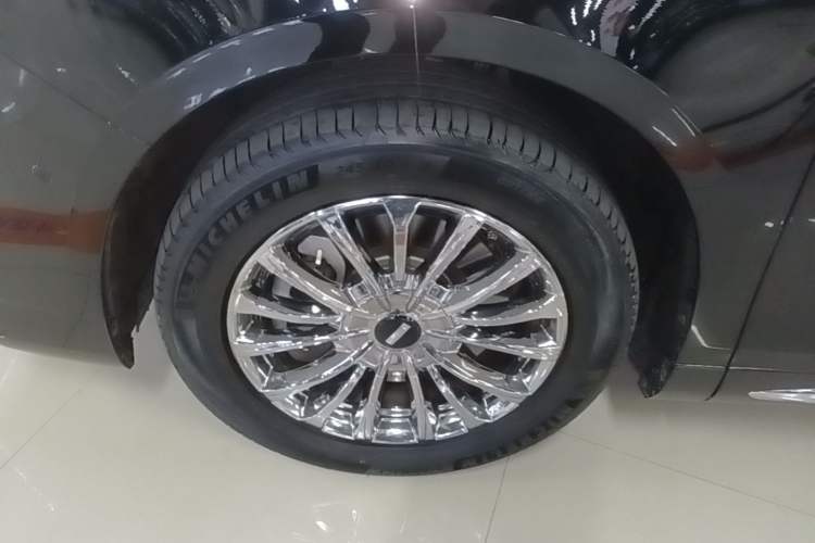 Used Wey Gaoshan 2023 Four-Wheel-Drive Executive Extended Version Exterior 1