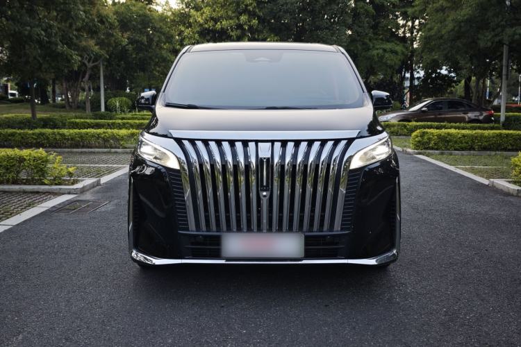 Used Wey Gaoshan 2023 Four-Wheel-Drive Executive Extended Version Exterior 1