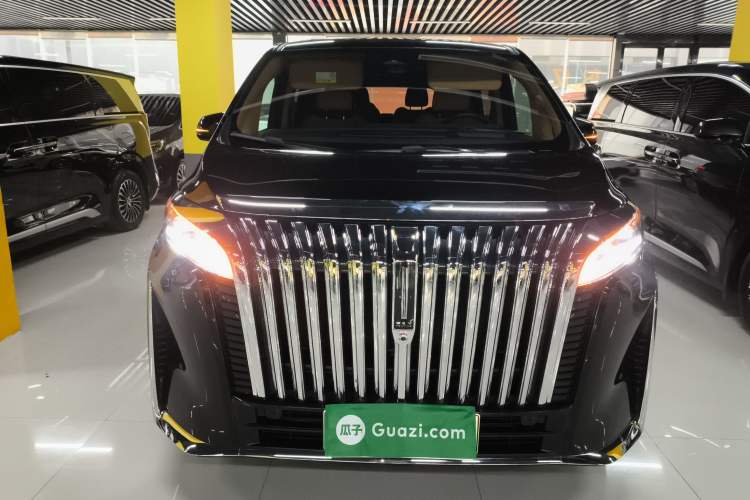 Used Wey Gaoshan 2023 Four-Wheel-Drive Executive Extended Version Exterior 1