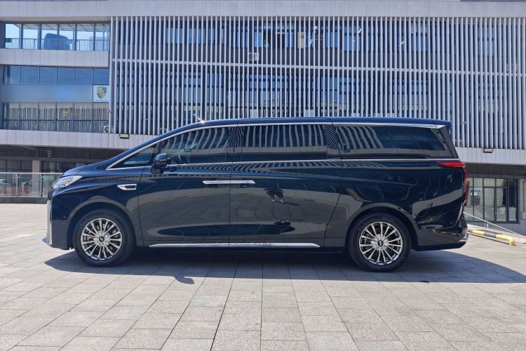 Used Wey Gaoshan 2023 Four-Wheel-Drive Executive Extended Version Exterior 10