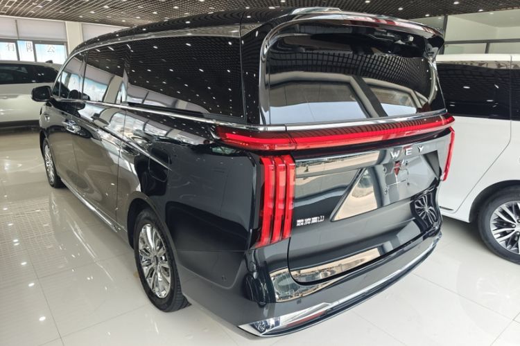 Used Wey Gaoshan 2023 Four-Wheel-Drive Executive Extended Version Exterior 2