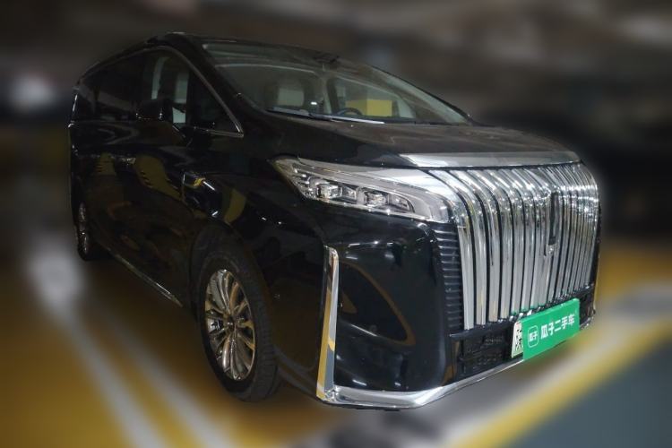 Used Wey Gaoshan 2023 Four-Wheel Drive Flagship Edition Exterior 2