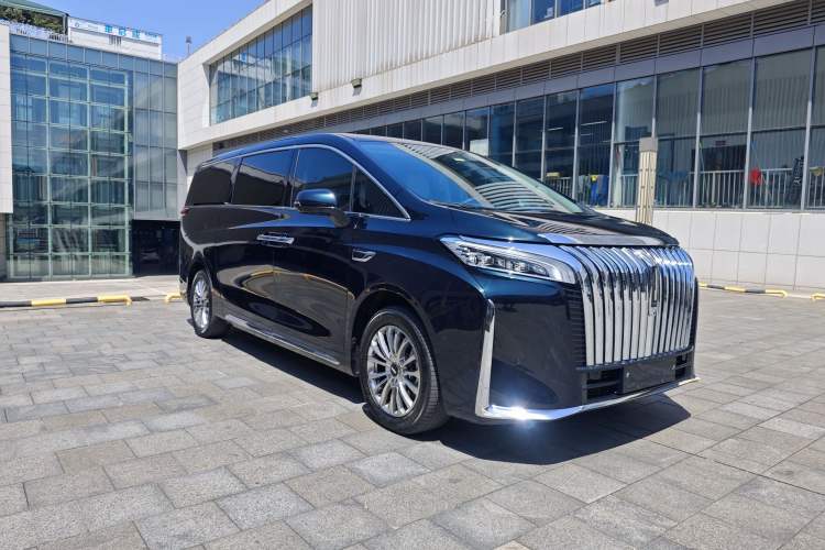 Used Wey Gaoshan 2023 Four-Wheel-Drive Executive Extended Version Exterior 2