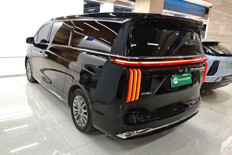 Used Wey Gaoshan 2023 Four-Wheel-Drive Executive Extended Version Exterior 2