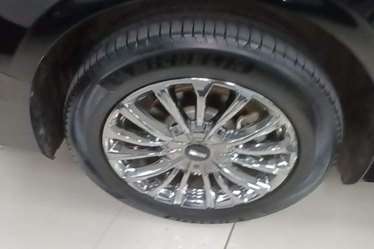 Used Wey Gaoshan 2023 Four-Wheel-Drive Executive Extended Version Exterior 2