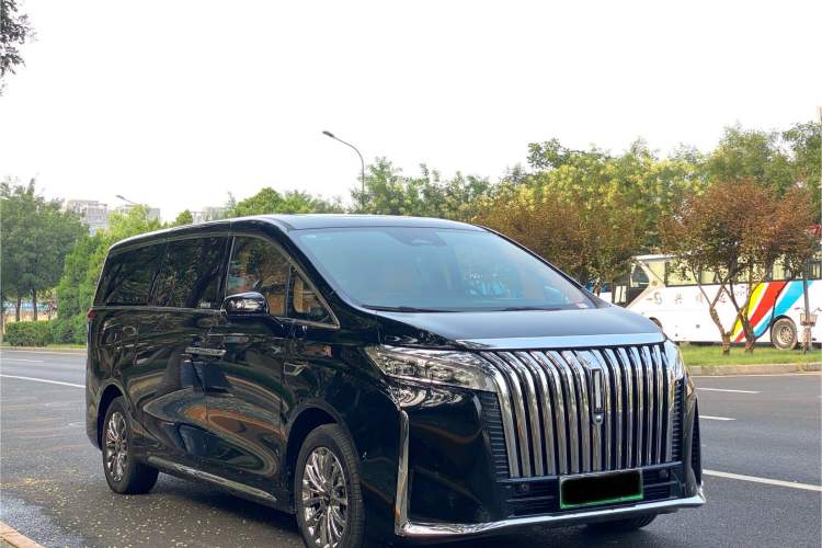 Used Wey Gaoshan 2023 Four-Wheel-Drive Executive Extended Version Exterior 2