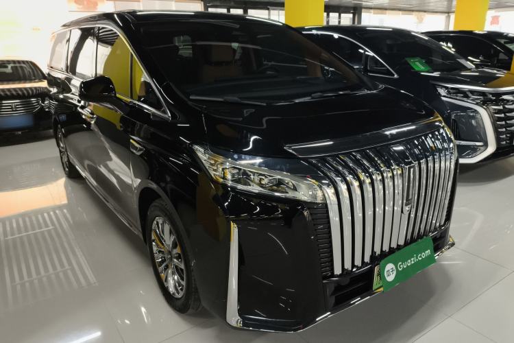 Used Wey Gaoshan 2023 Four-Wheel-Drive Executive Extended Version Exterior 2