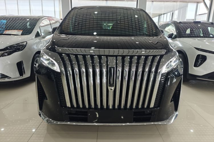 Used Wey Gaoshan 2023 Four-Wheel-Drive Executive Extended Version Exterior 3