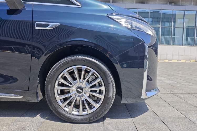 Used Wey Gaoshan 2023 Four-Wheel-Drive Executive Extended Version Exterior 3