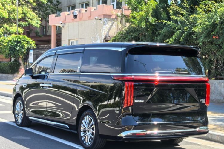 Used Wey Gaoshan 2023 Four-Wheel-Drive Executive Extended Version Exterior 3