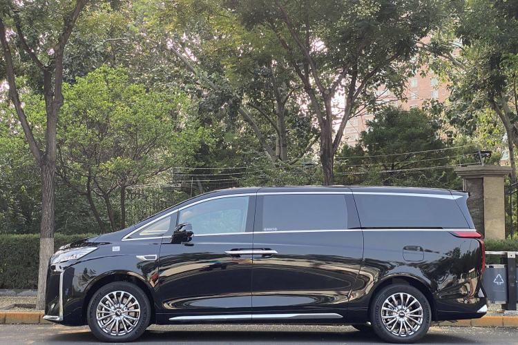 Used Wey Gaoshan 2023 Four-Wheel-Drive Executive Extended Version Exterior 3