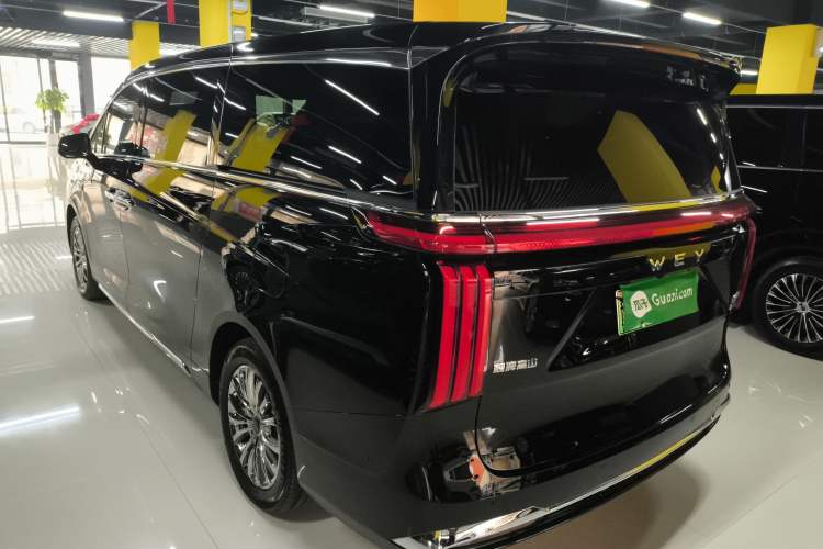 Used Wey Gaoshan 2023 Four-Wheel-Drive Executive Extended Version Exterior 3