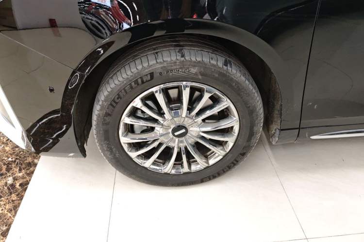 Used Wey Gaoshan 2023 Four-Wheel-Drive Executive Extended Version Exterior 4