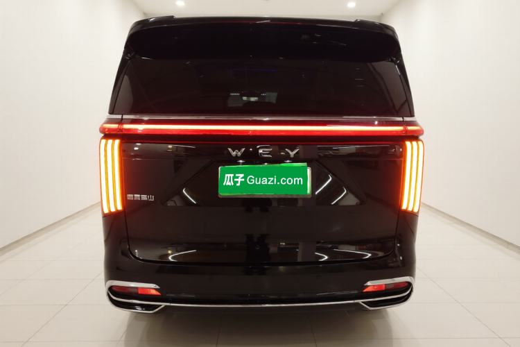 Used Wey Gaoshan 2023 Four-Wheel Drive Flagship Edition Exterior 4