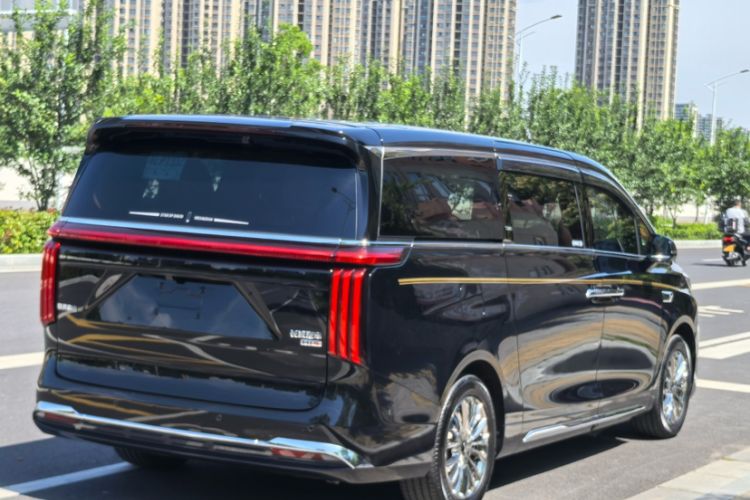 Used Wey Gaoshan 2023 Four-Wheel-Drive Executive Extended Version Exterior 4