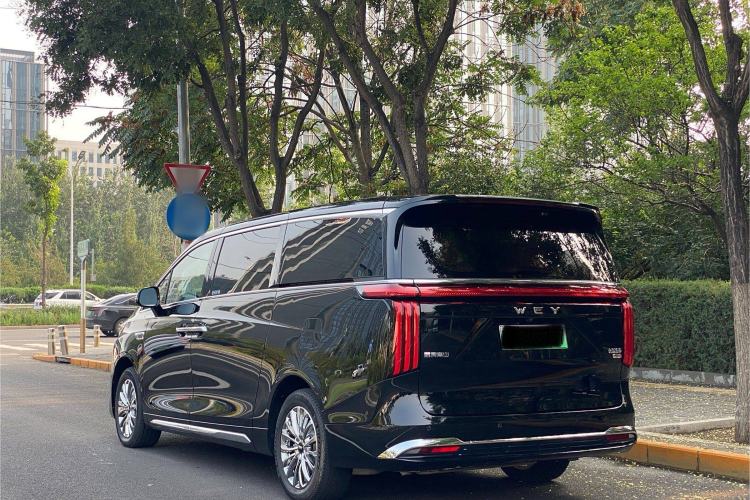 Used Wey Gaoshan 2023 Four-Wheel-Drive Executive Extended Version Exterior 4