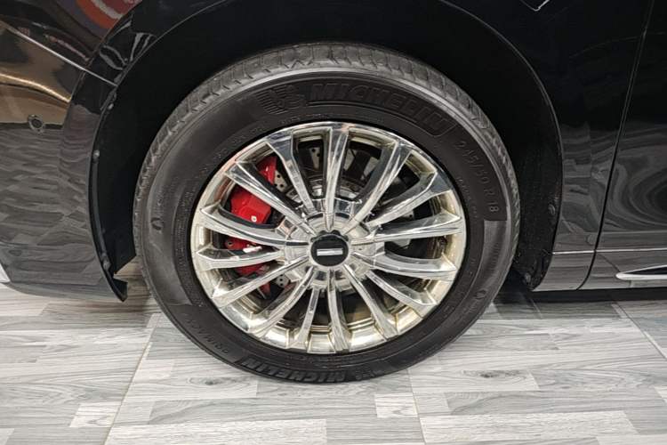 Used Wey Gaoshan 2023 Four-Wheel-Drive Executive Extended Version Exterior 4