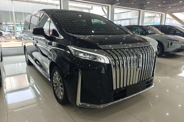 Used Wey Gaoshan 2023 Four-Wheel-Drive Executive Extended Version Exterior 5