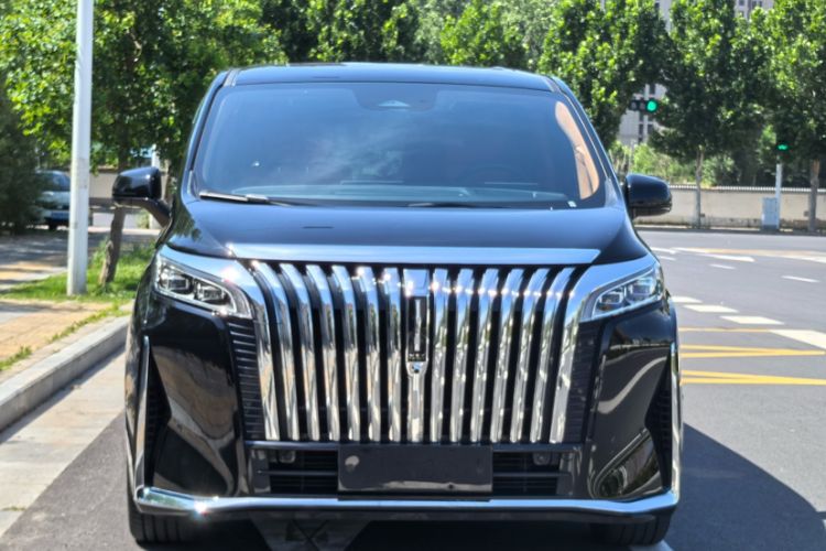 Used Wey Gaoshan 2023 Four-Wheel-Drive Executive Extended Version Exterior 5
