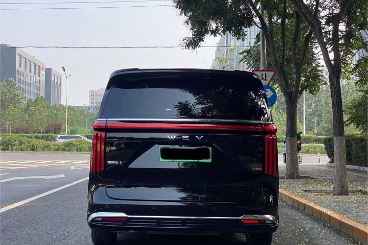 Used Wey Gaoshan 2023 Four-Wheel-Drive Executive Extended Version Exterior 5
