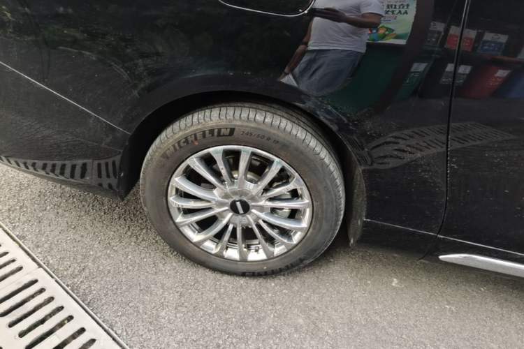 Used Wey Gaoshan 2023 Four-Wheel-Drive Executive Extended Version Exterior 5