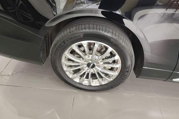 Used Wey Gaoshan 2023 Four-Wheel-Drive Executive Extended Version Exterior 5