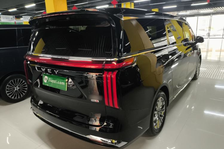 Used Wey Gaoshan 2023 Four-Wheel-Drive Executive Extended Version Exterior 5