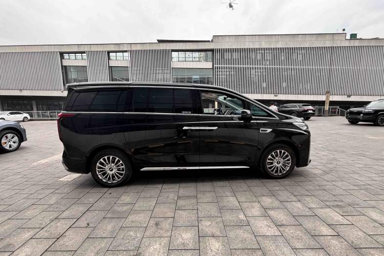 Used Wey Gaoshan 2023 Four-Wheel Drive Premium Edition Exterior 5