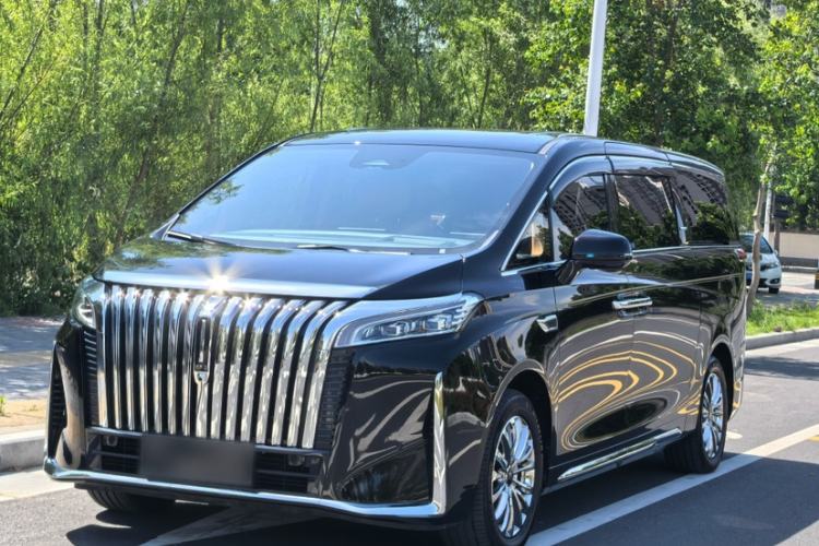 Used Wey Gaoshan 2023 Four-Wheel-Drive Executive Extended Version Exterior 6