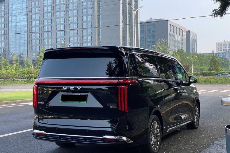 Used Wey Gaoshan 2023 Four-Wheel-Drive Executive Extended Version Exterior 6