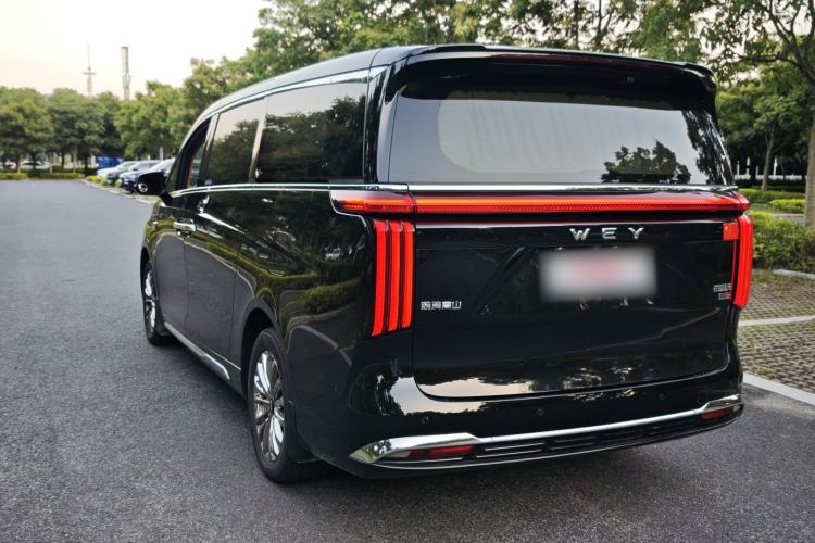 Used Wey Gaoshan 2023 Four-Wheel-Drive Executive Extended Version Exterior 6