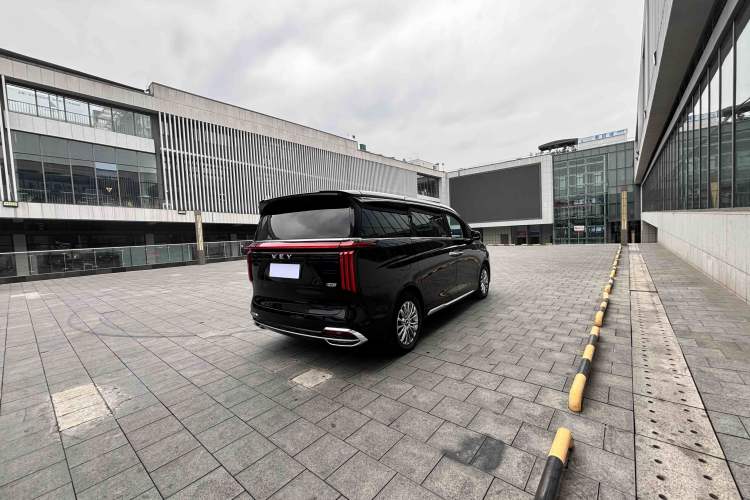 Used Wey Gaoshan 2023 Four-Wheel Drive Premium Edition Exterior 6