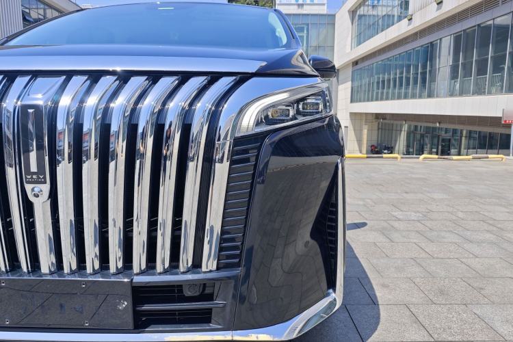 Used Wey Gaoshan 2023 Four-Wheel-Drive Executive Extended Version Exterior 7