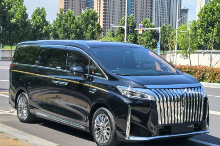 Used Wey Gaoshan 2023 Four-Wheel-Drive Executive Extended Version Exterior 7