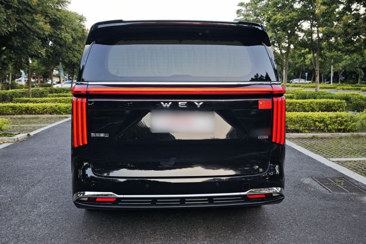 Used Wey Gaoshan 2023 Four-Wheel-Drive Executive Extended Version Exterior 7