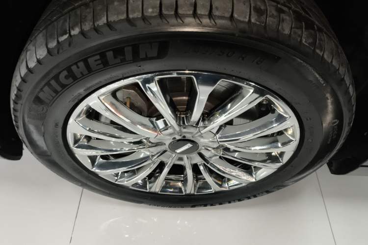 Used Wey Gaoshan 2023 Four-Wheel-Drive Executive Extended Version Exterior 7